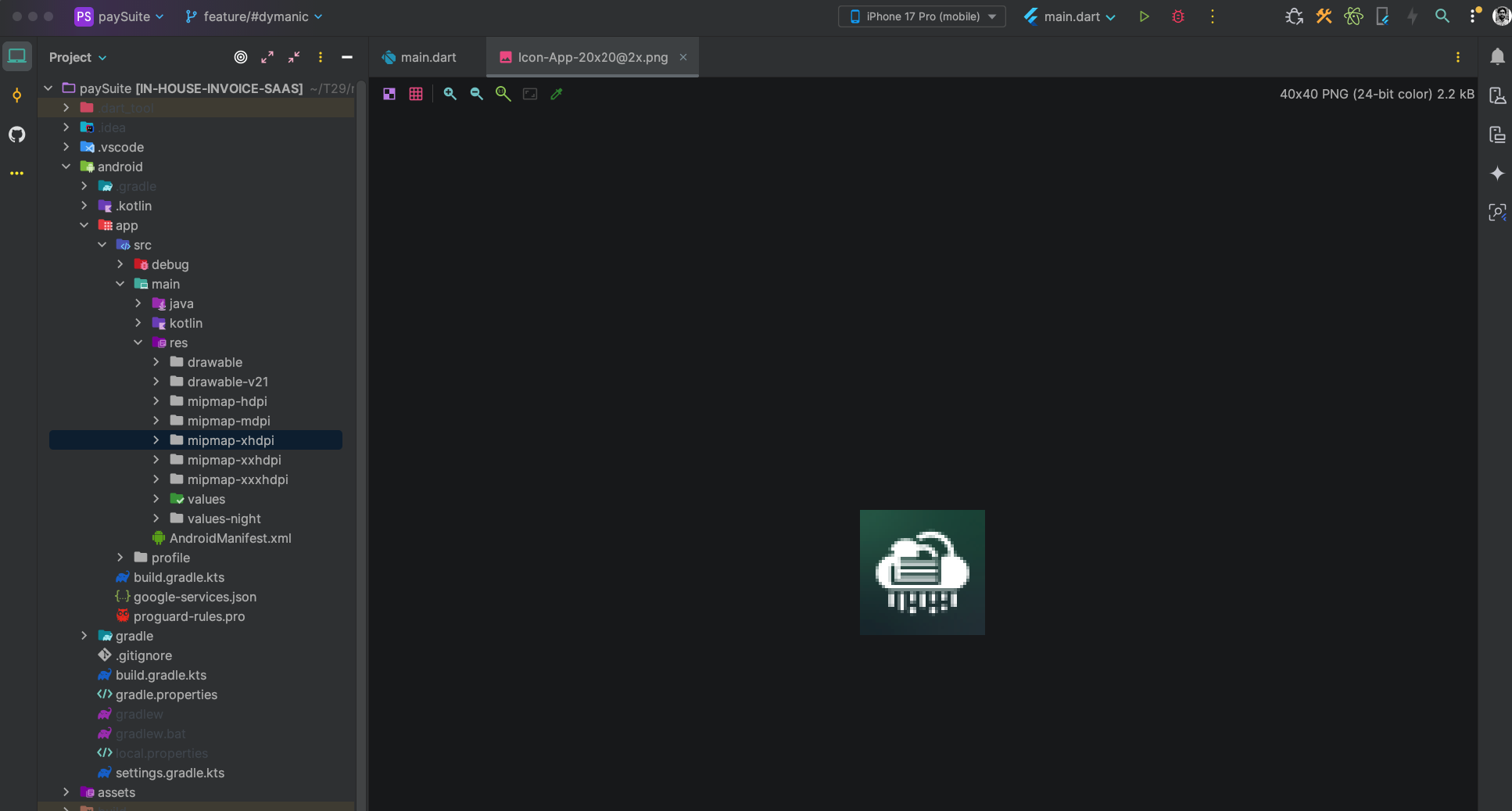App icon customization