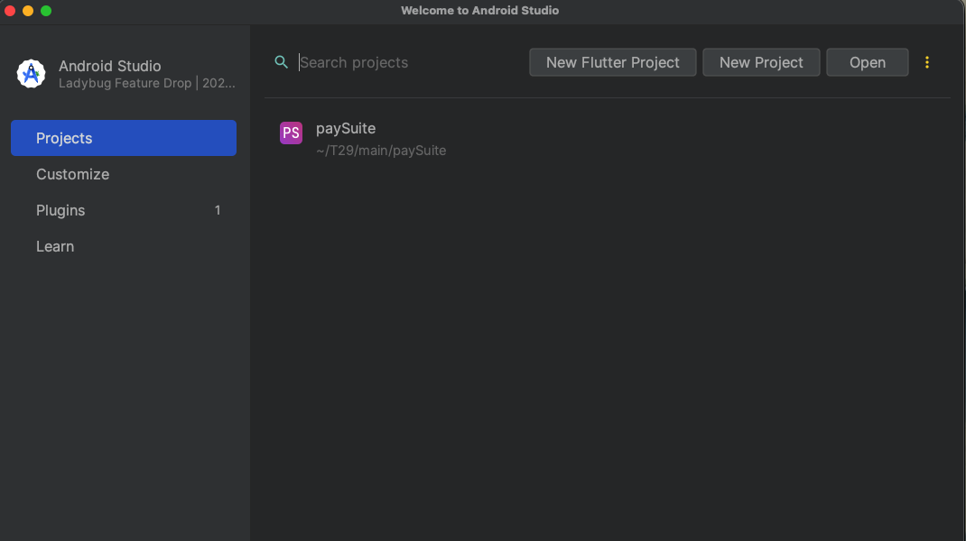 Opening the project in IDE